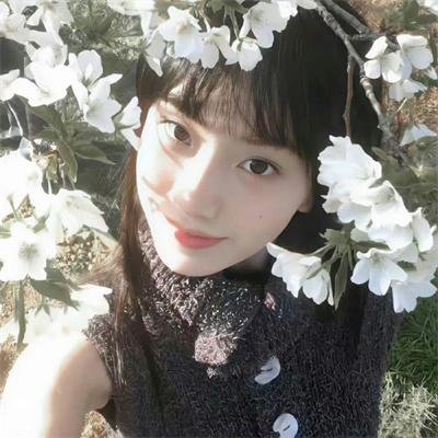 美凤有约