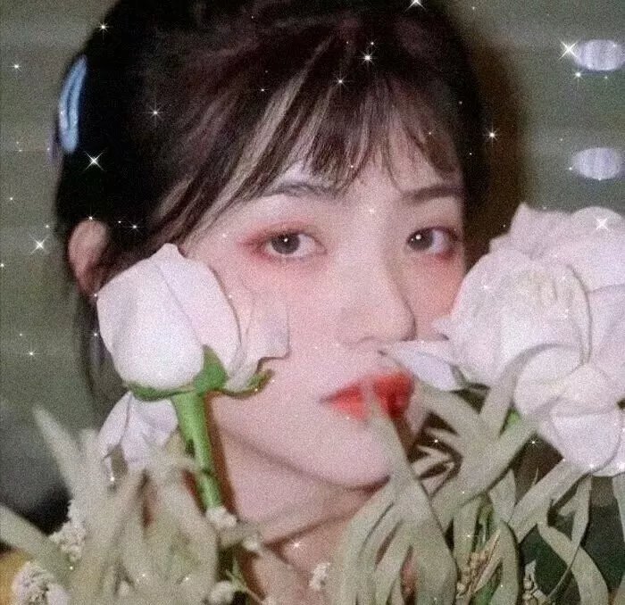 圆圈